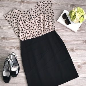 I.N. Studio Black and Tan Polka Dot Dress